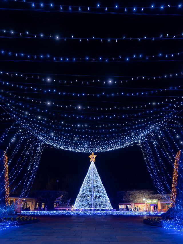 え？四国最大級のイルミネーションがたったの450円？！！まんのう公園のイルミネーション2025