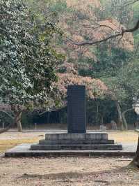 Historic Calm Vibes🏯