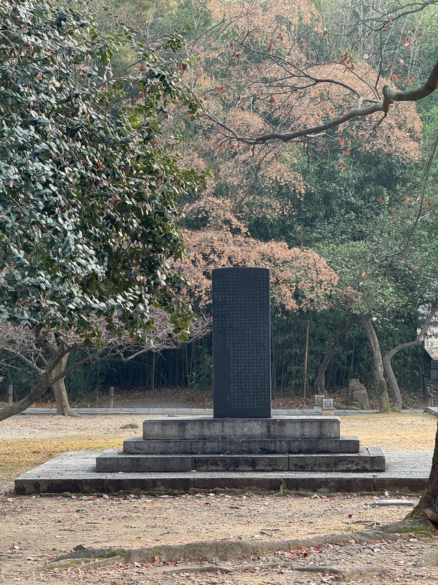 Historic Calm Vibes🏯 Historic Calm Vibes🏯