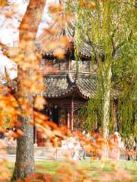 【拙政园】蘇州の秋を象徴するような🍁穏やかで美しい時間でした🍁