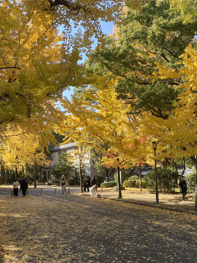 Osaka park fountain