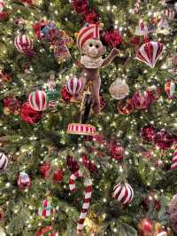 12월에 가장 빛나는 경주여행코스