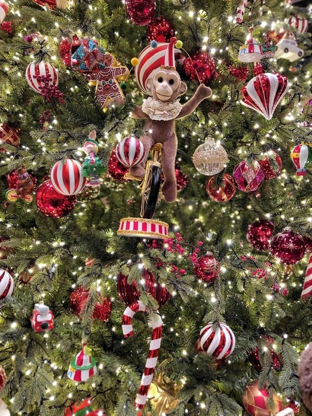 12월에 가장 빛나는 경주여행코스 12월에 가장 빛나는 경주여행코스