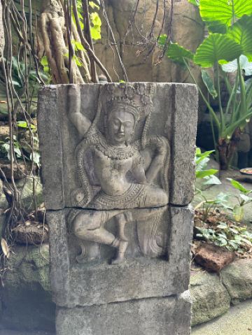 A rain forest adventure in the middle of Denmark?!