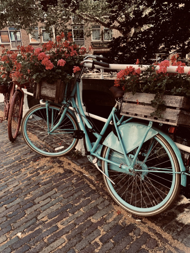 オランダの小さな町：デルフト 🪷 | Trip.com デルフト