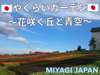 🇯🇵A hill with a chapel under a clear blue sky and blooming flowers🇯🇵