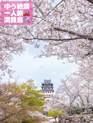 สถานที่ลับที่เหมาะแก่การชมซากุระบานบนเกาะอาวาจิ 🌸: ปราสาทซูโมโตะและคาเฟ่