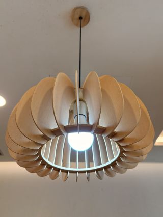 #springflower 

It was one of those hungry afternoons when I found myself passing by Soi 19 Thai Wan Tan Mee at Bugis, and the sight of authentic Thai street food was impossible to resist. I walked in on impulse and quickly ordered their Thai-style wanton mee, but made sure to ask for extra pork lard on top. When the bowl arrived, the glossy egg noodles were draped in a dark, savory sauce, accompanied by tender char siu, leafy greens, and soft wontons—but those golden nuggets of pork lard were the true stars. Each crunchy, salty bite released a burst of richness that transformed the dish into something deeply comforting and indulgent. The noodles had that perfect springy chew, the broth on the side was light and fragrant, and every mouthful felt like a little trip to Bangkok. By the time I wiped the bowl clean, I wasn't just full—I was completely, utterly satisfied.