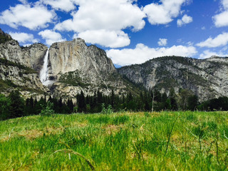 Mind-Blowing US National Parks Trip | Yosemite + Yellowstone: Nature So Epic It Feels Like a Movie.