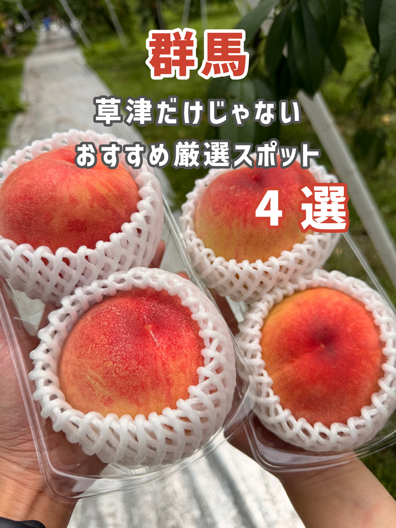 [Gunma] Đừng chỉ đến Kusatsu! 4 địa điểm được đề xuất sẽ khiến bạn ấn tượng 🌿✨