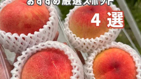 【群馬】草津だけじゃもったいない!感動したおすすめスポット4選🌿✨ — traveler post in 沼田
