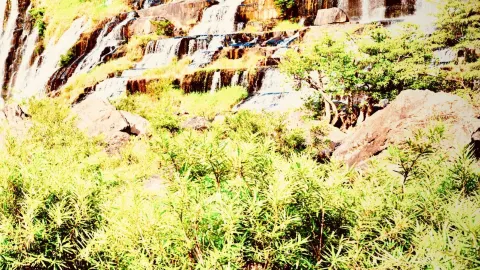 Nicaragua Mombacho Volcano Mossy Orchid Crater Traileasytravelpost #Mombacho #Granada #OrchidCrater — traveler post in Granada