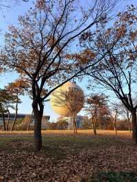 ลอยขึ้นเหนือ Yeouido ชมวิวโซลแบบ 360° จากบอลลูนยักษ์