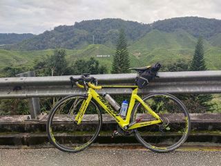 🇲🇾【Cameron Highlands, Malaysia】Nature Escape! AUDAX BRM200 Challenge: Gopeng - Cameron Classic Grand Loop 🚴‍♂️🌧️