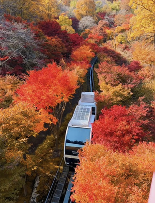 Are You Ready for Autumn in Korea? 🍁😍 