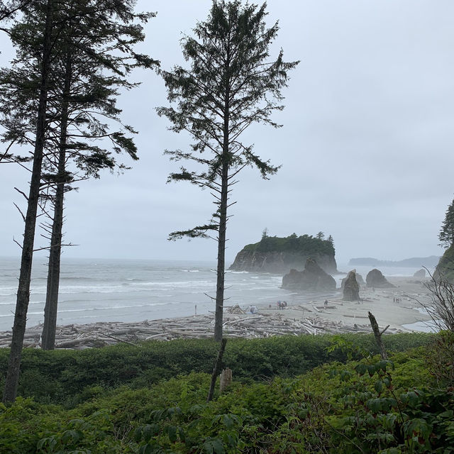 Ruby beach, Olympic National Park, US.