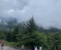 Our Great Smoky Mountains Trip 2020