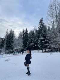 Whistler vibe