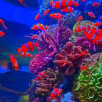 SEA LIFE Bangkok Ocean World