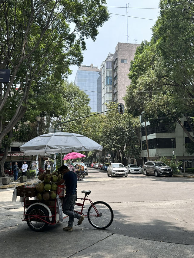 Cuauhtémoc – Mexico City’s Cultural Crossroads. The Neighborhood That Never Sleeps🪅🪅
