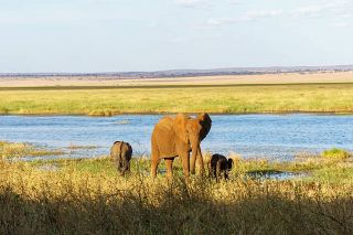 Tanzania’s Ultimate Wildlife Journey: 5 Days of Tarangire, Manyara, Serengeti & Ngorongoro