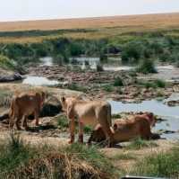 three days safari ngorongoro crater 