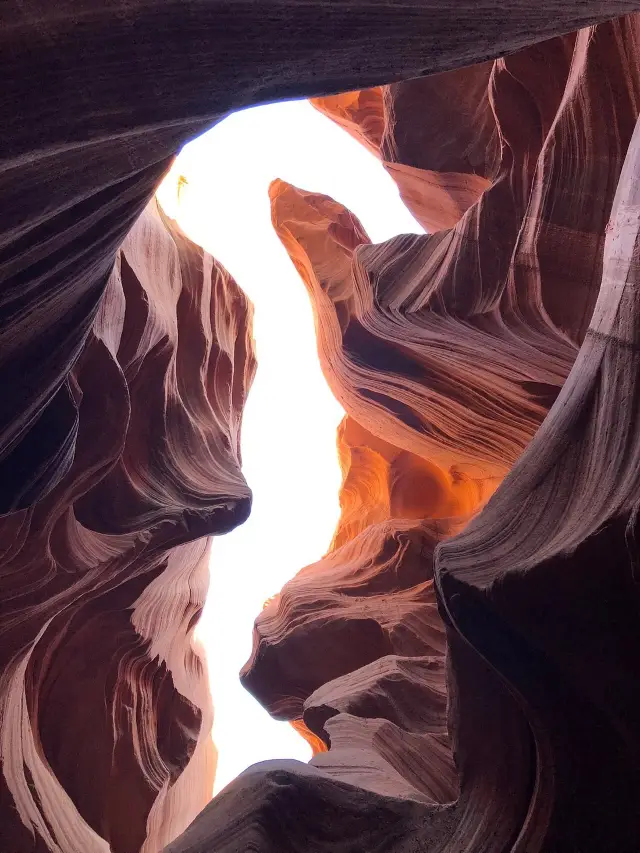 Lost in the Canyons