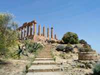 Discovering the Valley of the Temples