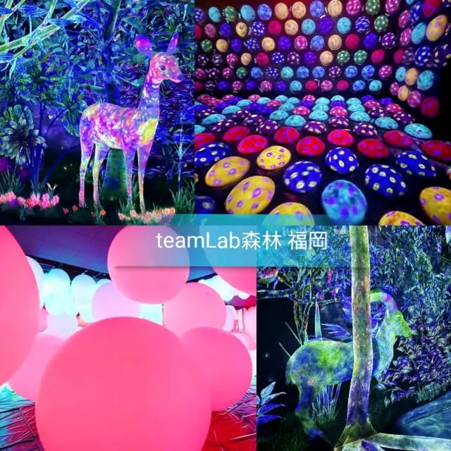 🎈teamLab森林美術館🎈互動遊戲，鍛鍊空間認知能力