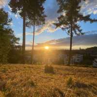 Golden hour in Freiburg