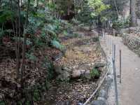 Fern Dell Nature Trail 🇺🇸