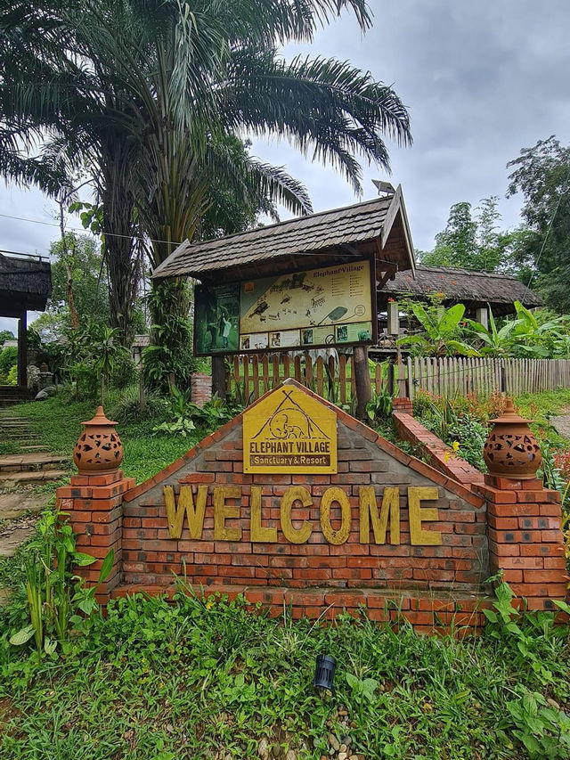 Elephant 🐘 village 🇱🇦 