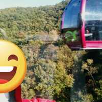 Harz 산맥에서 느끼는 웅장한 산맥
