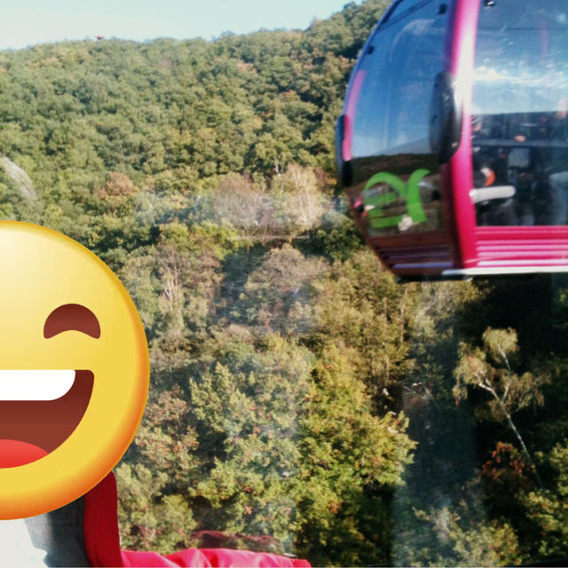 Harz 산맥에서 느끼는 웅장한 산맥