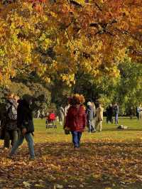 가을 모스크바 탐험 🍂