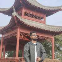 Flight &Travel