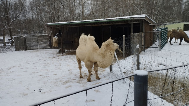 Tallinn Zoo - Estonia