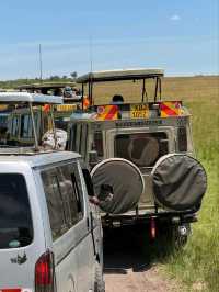 Maasai Mara Safari Tour