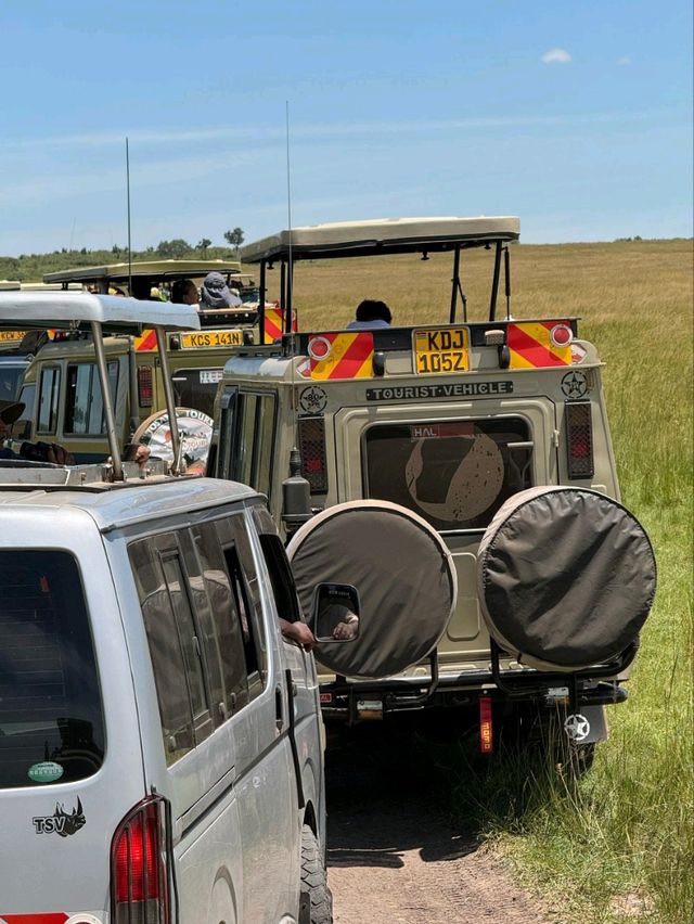 Maasai Mara Safari Tour