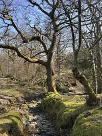 A walk from Hawkshead 