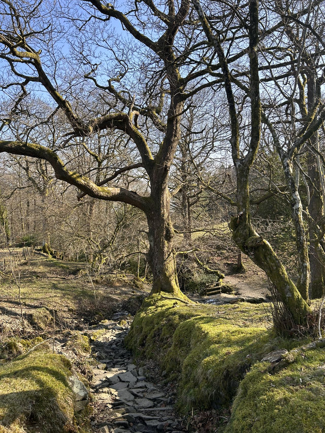 A walk from Hawkshead 