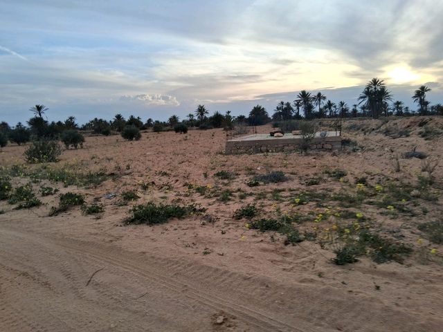 Desert sunset❤️