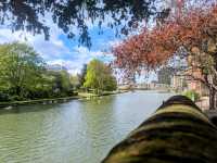 spring in Embankment 