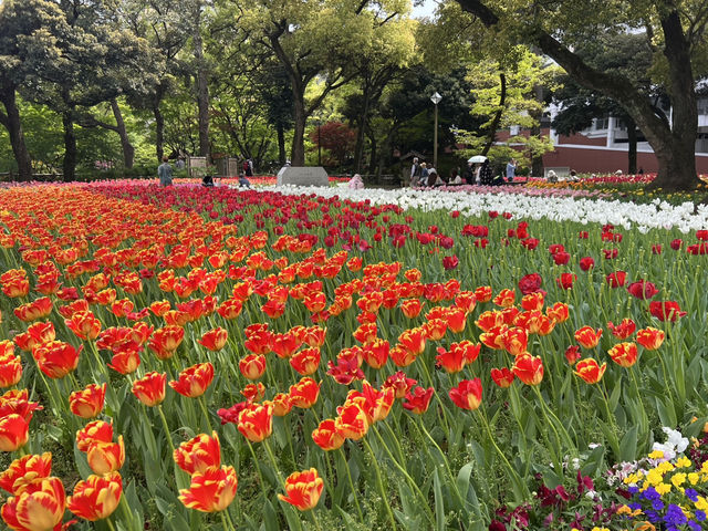 【横浜公園】