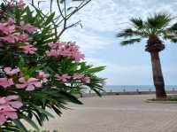 Statue, Sea, and Serenity – A Hidden Gem by the Rocks