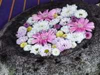 The best shrine in the eastern of Hokkaido where the snow fairy Shimaenaga comes