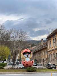🇷🇴 羅馬尼亞布拉索夫（Brașov） 🐇
