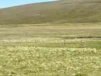 Wildlife Watcher’s Paradise