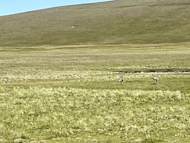 Wildlife Watcher’s Paradise