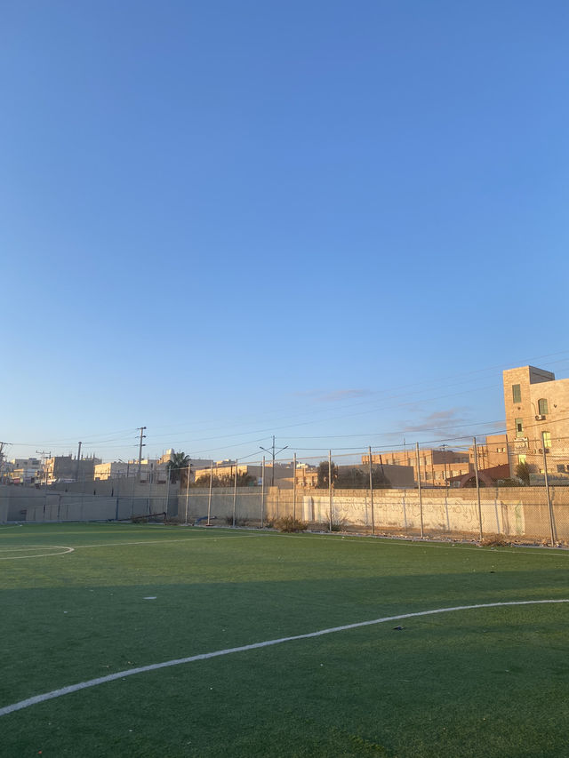 Beneath the sun, beside the court, the tree stands—quiet, strong, and full of light